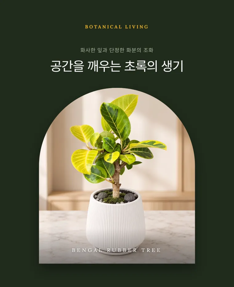 Cây đa Bengal T — Hình chi tiết