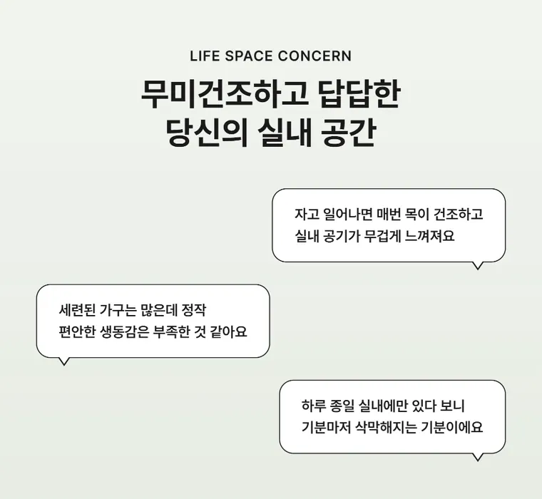 ラッキーバンブー A — 詳細画像