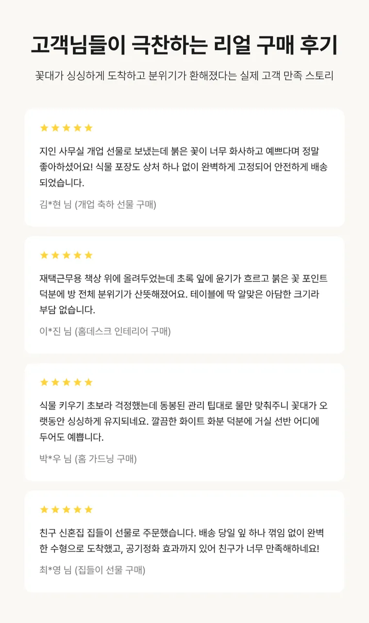 안시리움 T — 상품 상세
