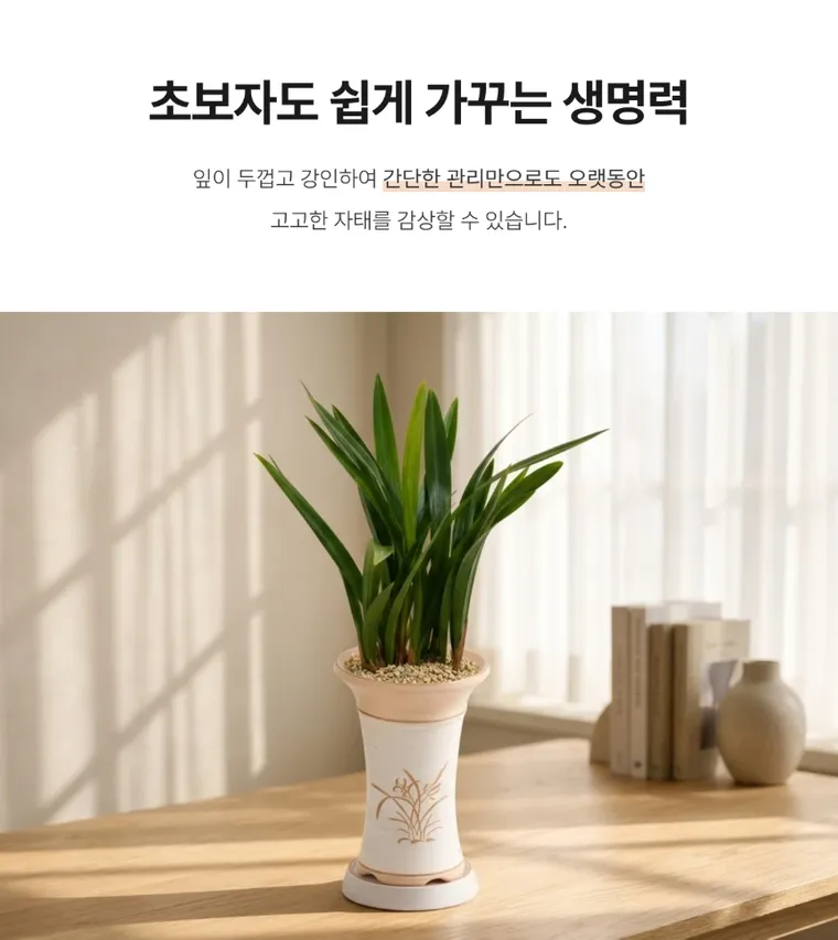 산천보세(일반분) — 상품 상세