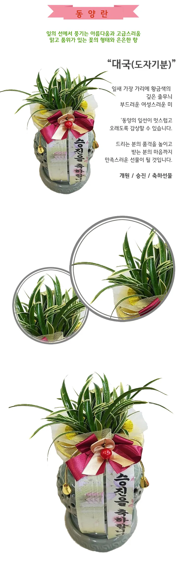 Daeguk Orchid (Decorative Pierced Pot) — Detail images