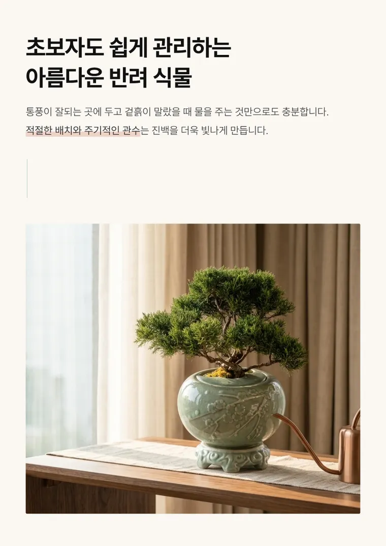 진백 B — 상품 상세