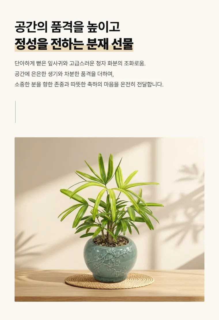 관음죽(서황금) — 상품 상세