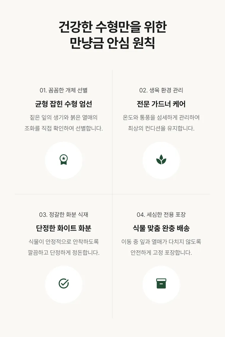 만냥금 — 상품 상세