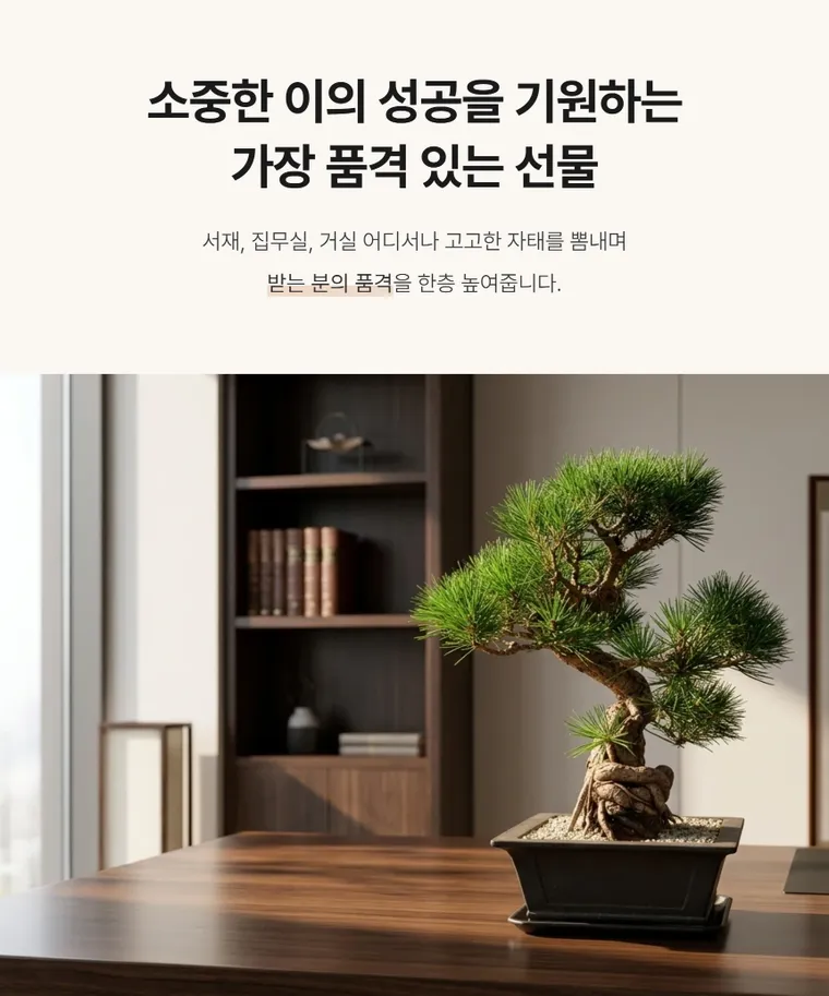 Pine Bonsai B — Detail images