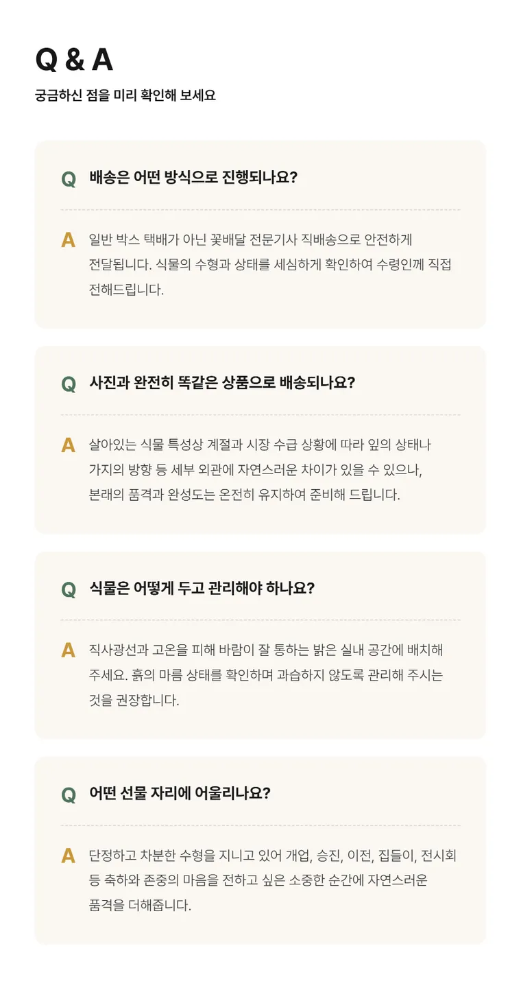 관음죽(서황금) — 상품 상세