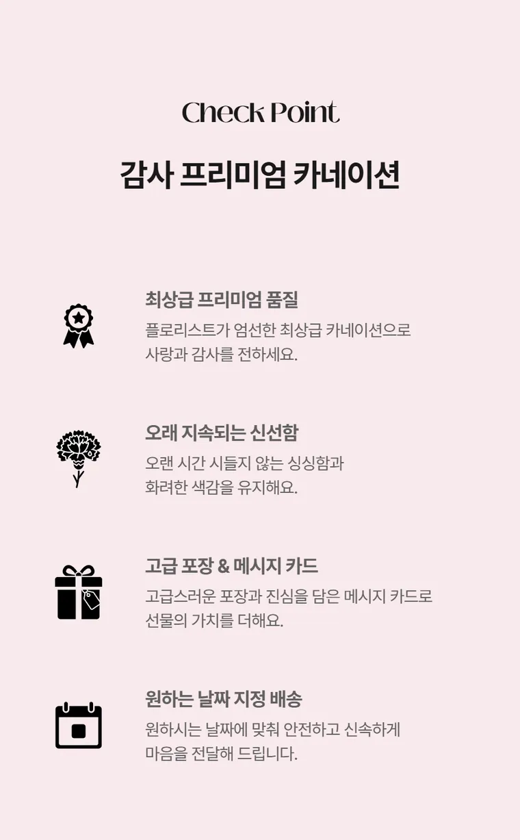 카네이션 C — 상품 상세
