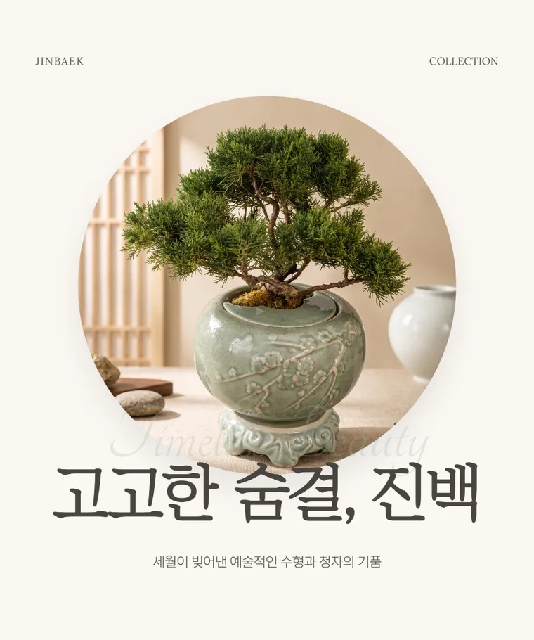 진백 B — 상품 상세