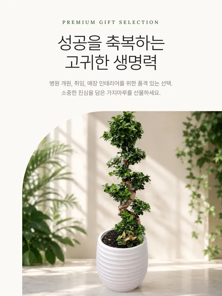 가지마루B — 상품 상세