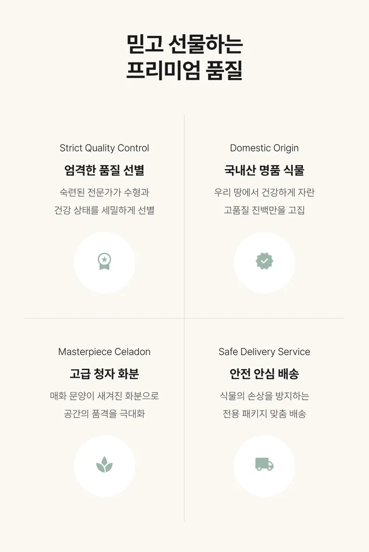 진백 B — 상품 상세