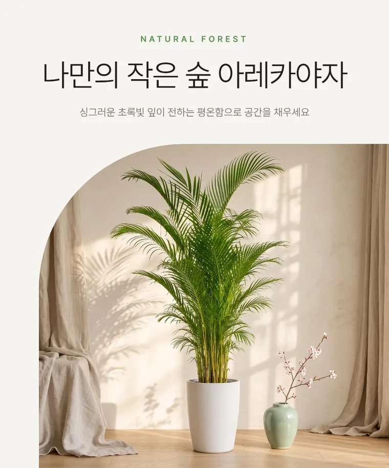 아레카야자 C — 상품 상세