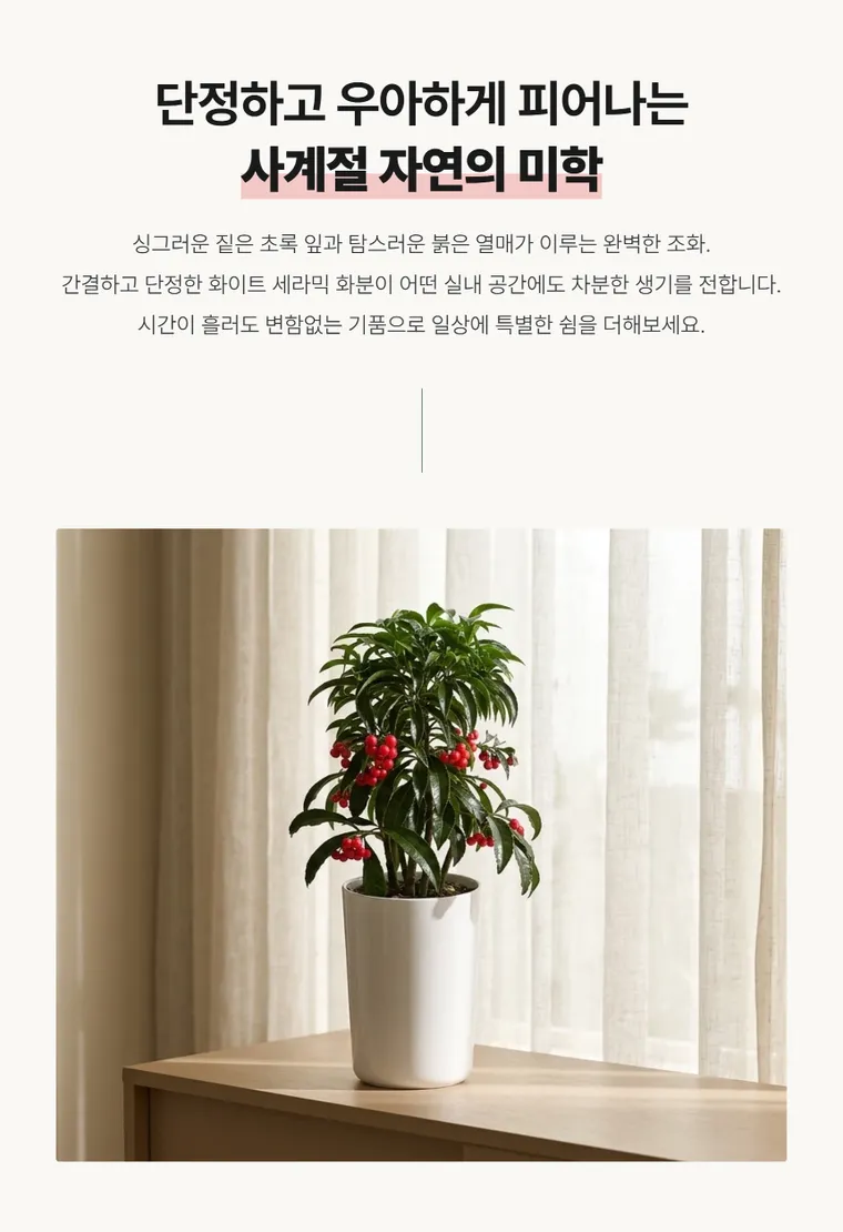 만냥금 — 상품 상세