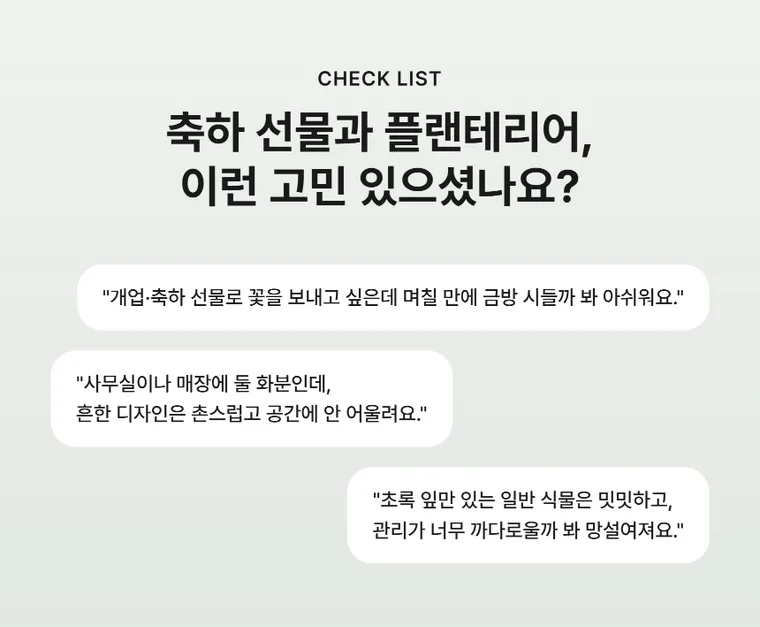 안시리움 A — 상품 상세