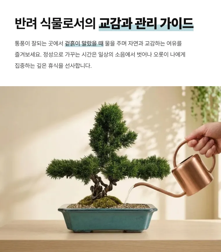 진백 A — 상품 상세
