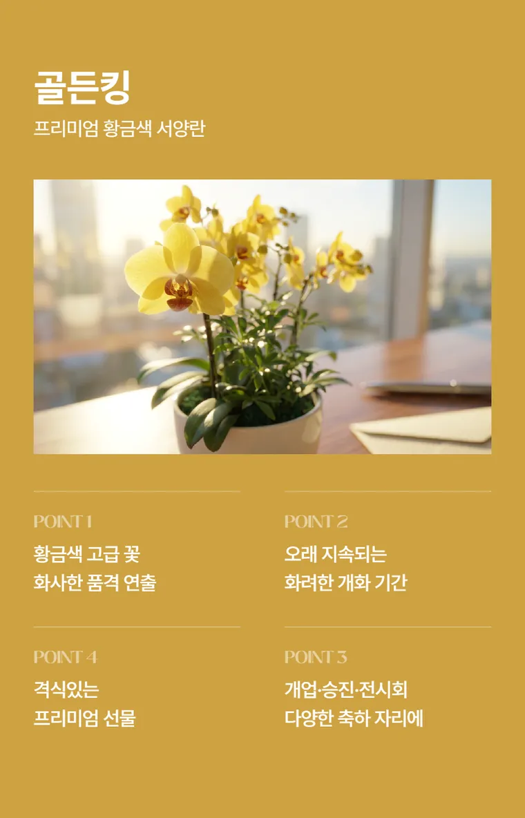 골든킹 — 상품 상세