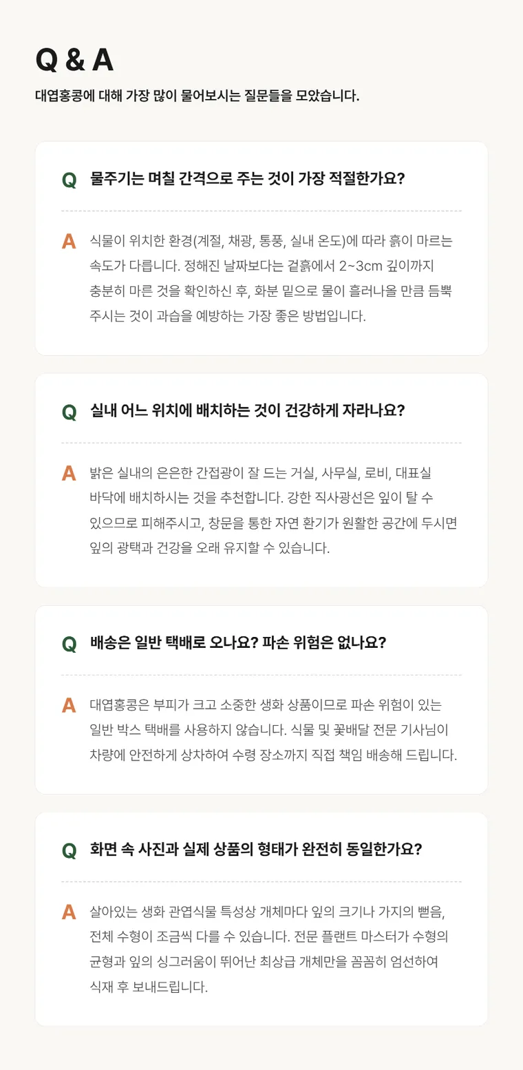 대엽홍콩 — 상품 상세