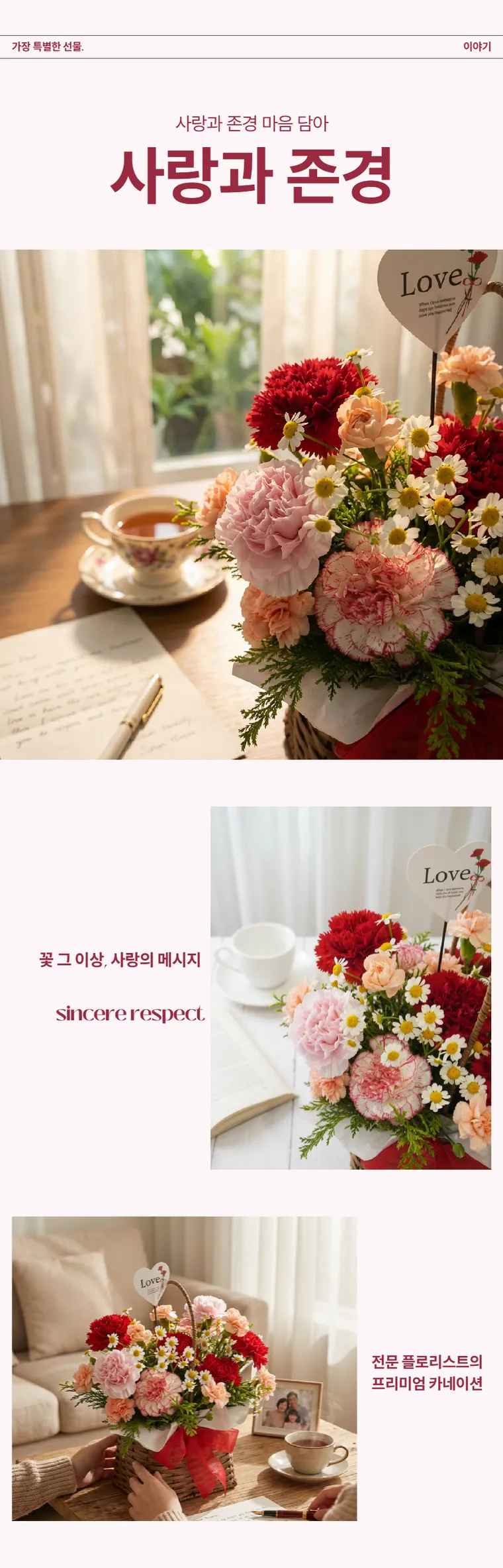 카네이션 C — 상품 상세
