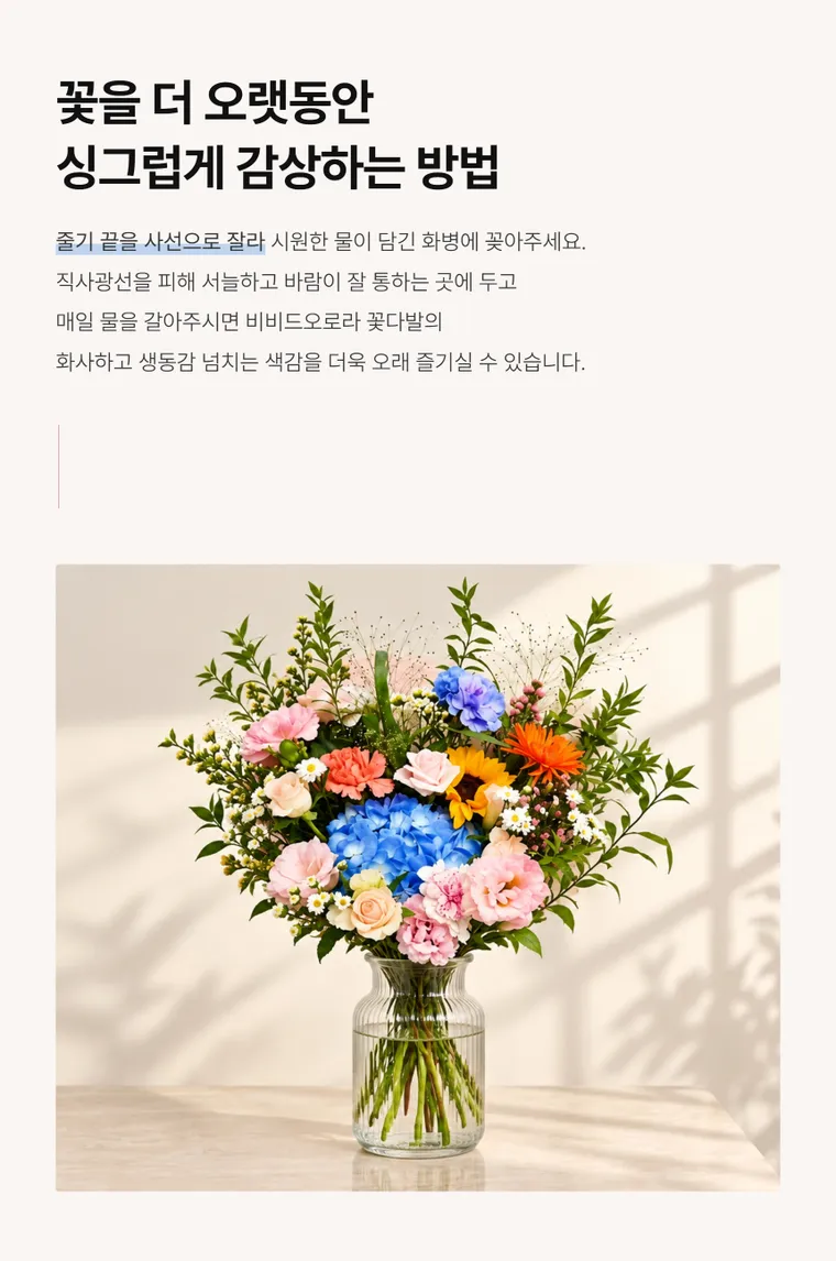비비드오로라 — 상품 상세