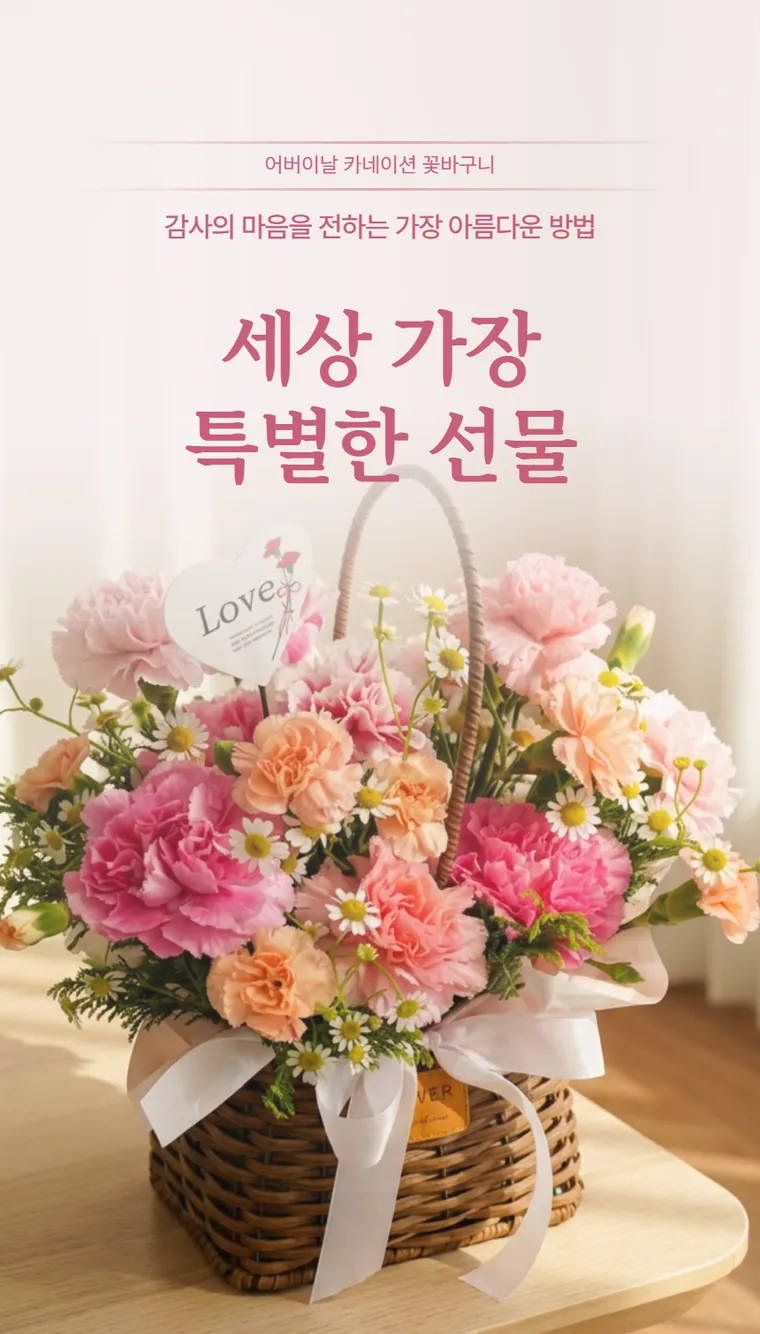 카네이션 B — 상품 상세