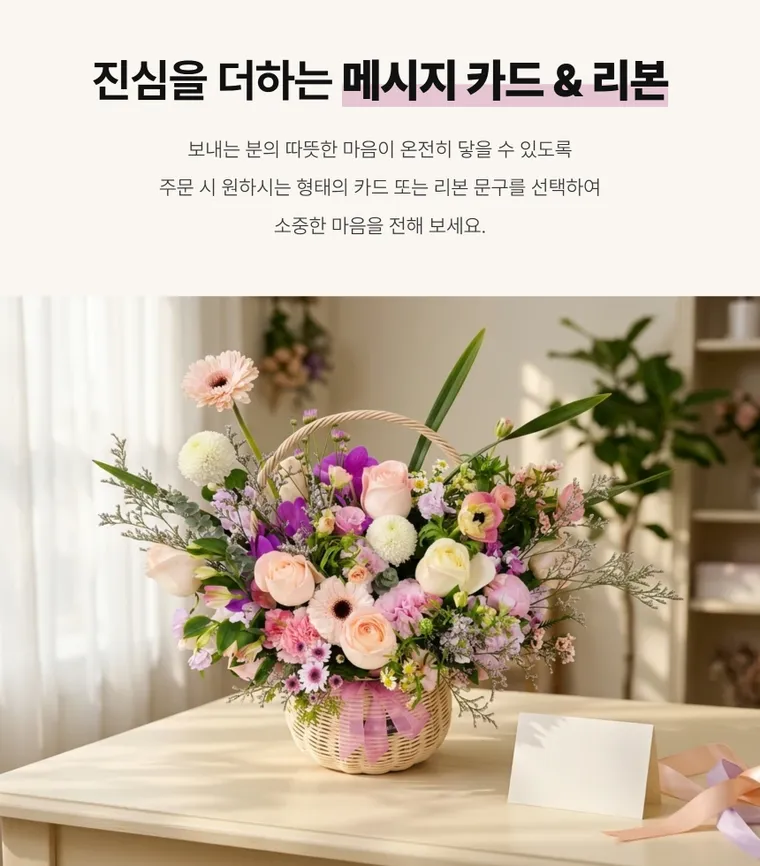 소프트글로우 — 상품 상세