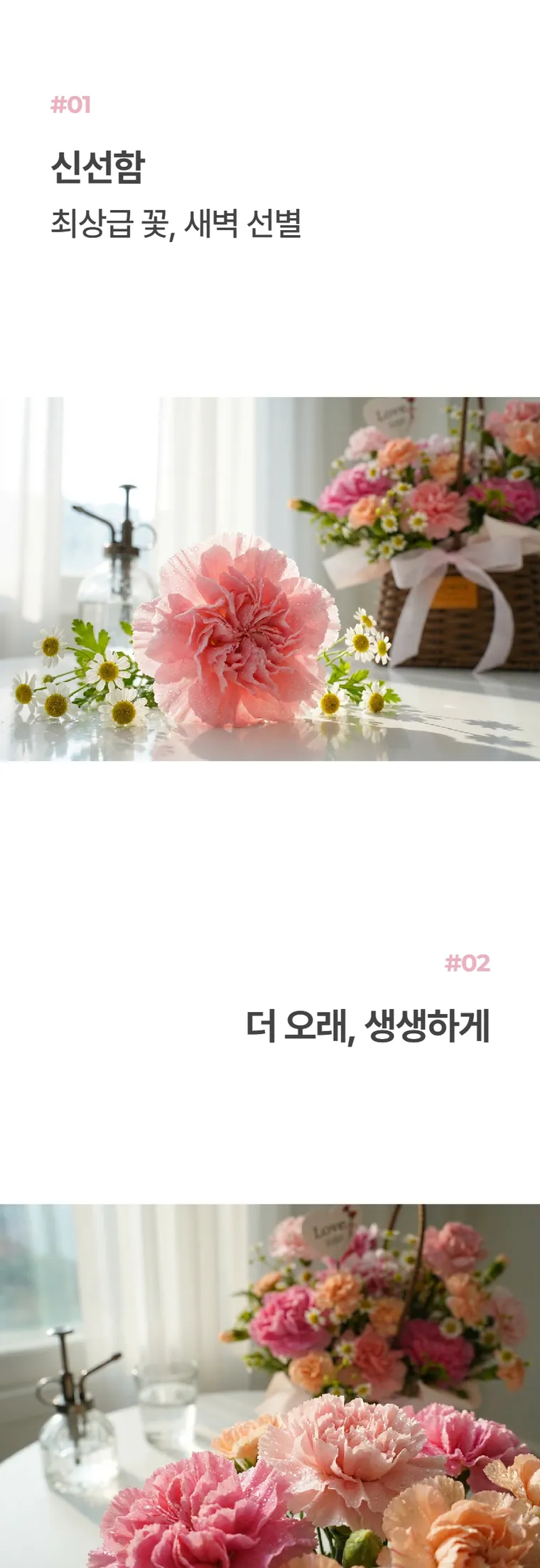 카네이션 B — 상품 상세
