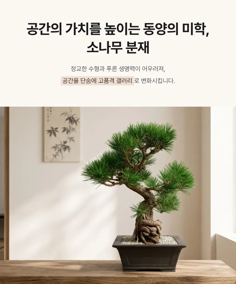Pine Bonsai B — Detail images
