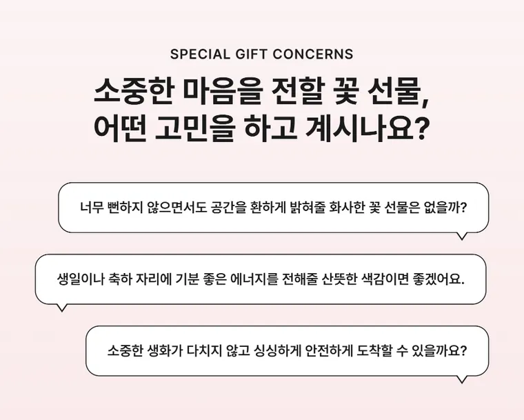 코랄피크닉 — 상품 상세