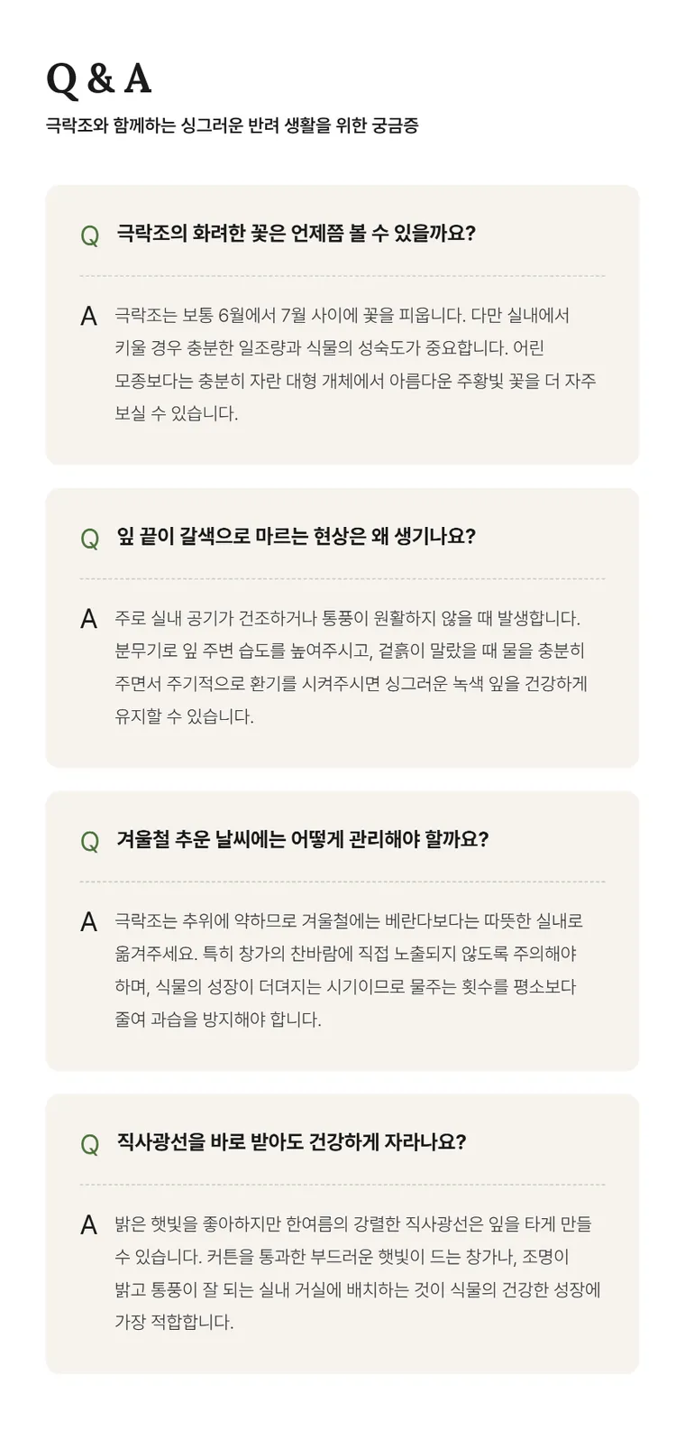 极乐鸟 A — 详情图