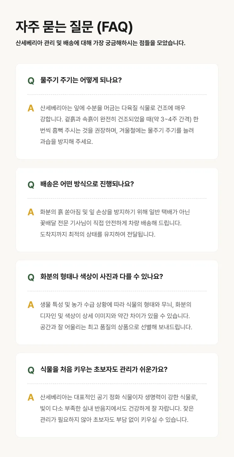 산세베리아 A — 상품 상세