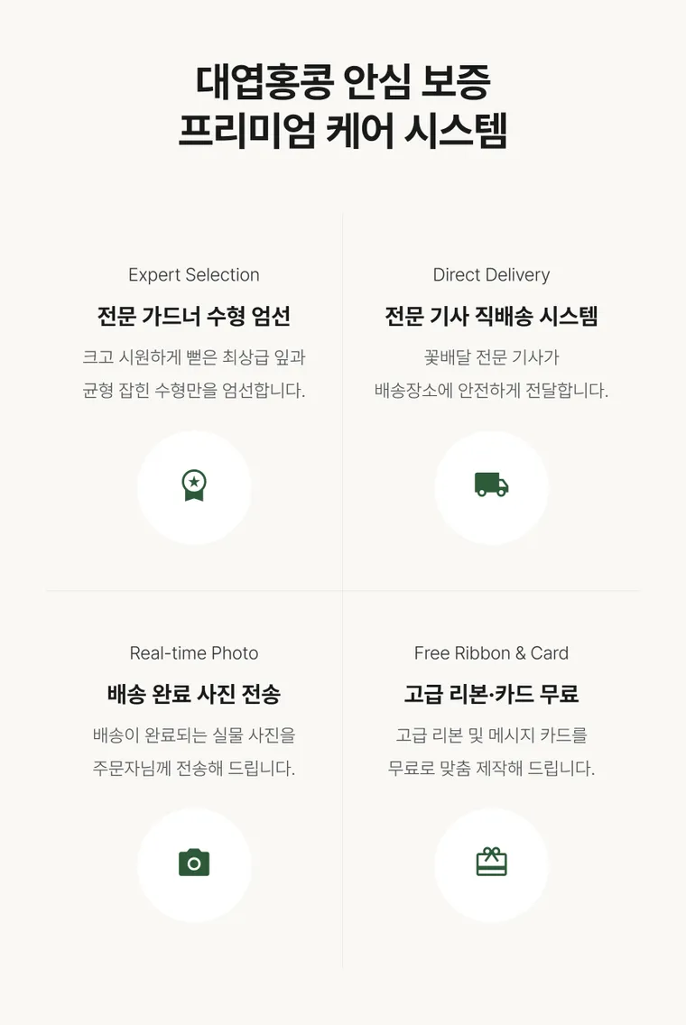 대엽홍콩 — 상품 상세