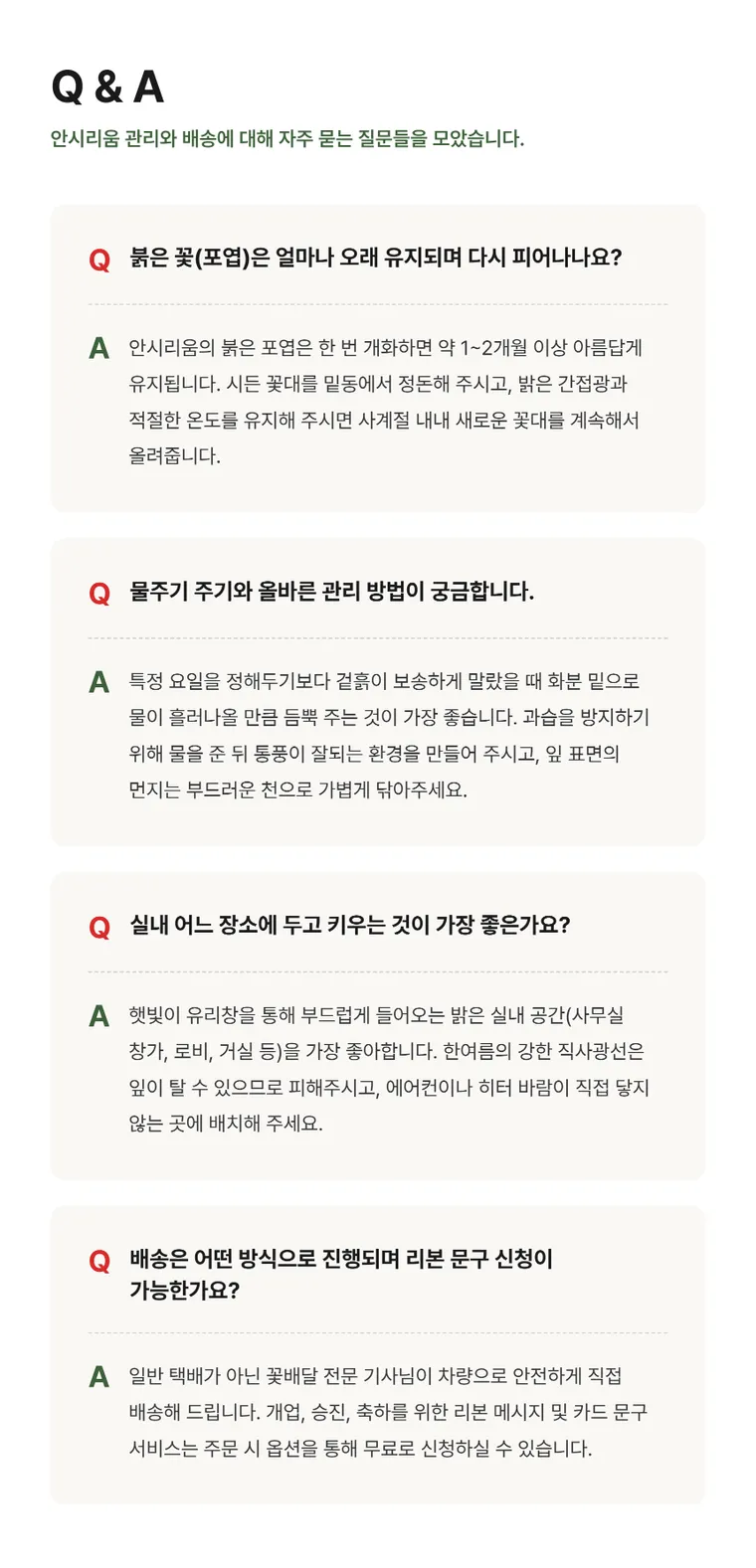 안시리움 A — 상품 상세