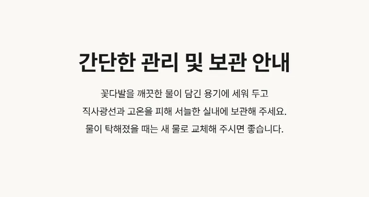 黄色清晨 — 详情图