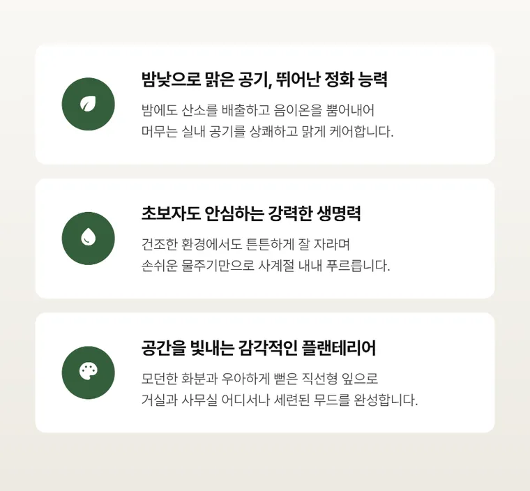산세베리아 A — 상품 상세