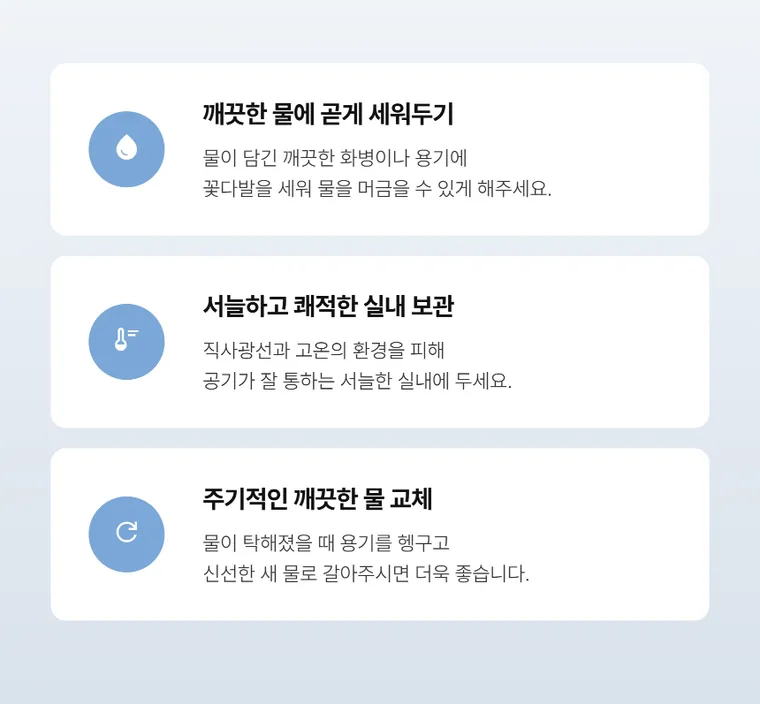 Mây oải hương — Hình chi tiết