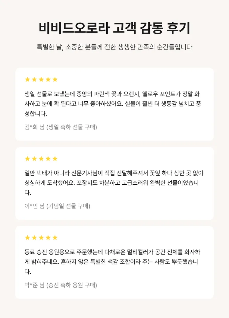 비비드오로라 — 상품 상세