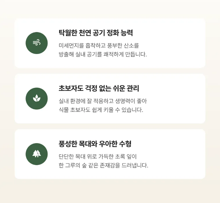 녹보수 C — 상품 상세