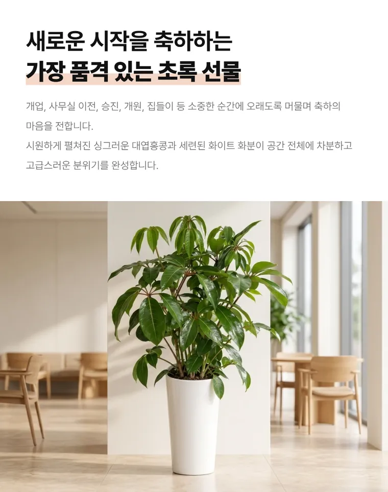 대엽홍콩 — 상품 상세