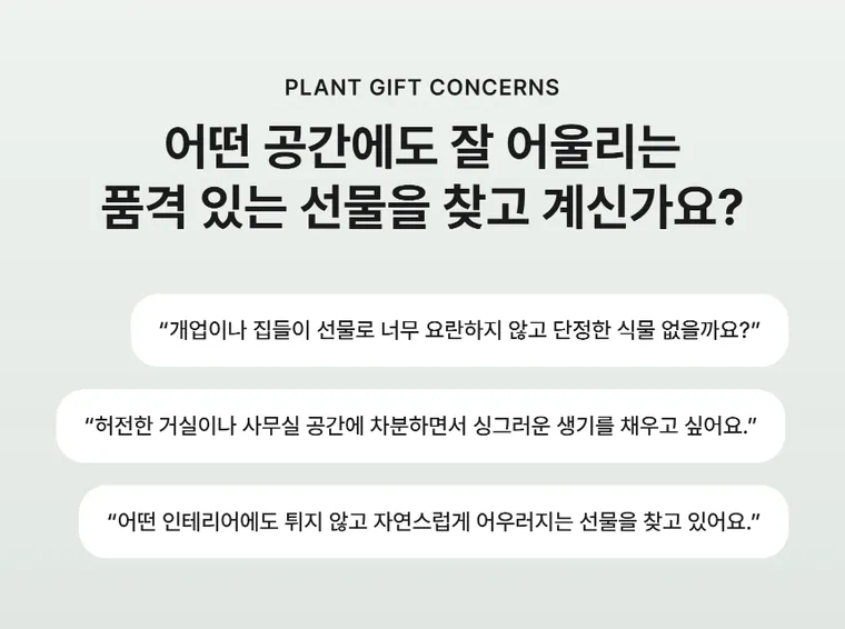 스파트필름 A — 상품 상세