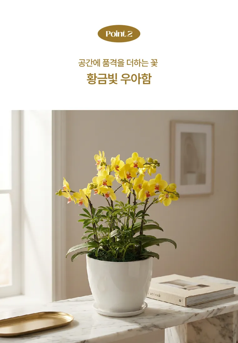 골든킹 — 상품 상세