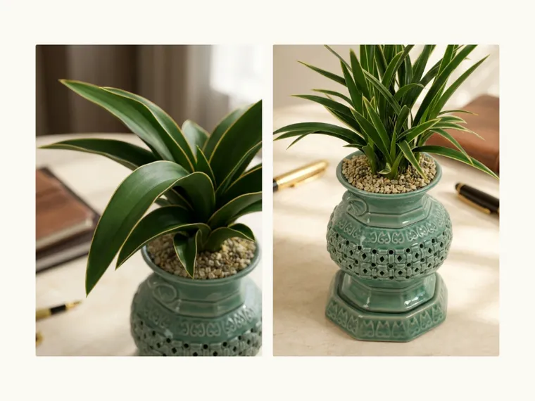 Daeguk (Mini Decorative Pot) — Detail images