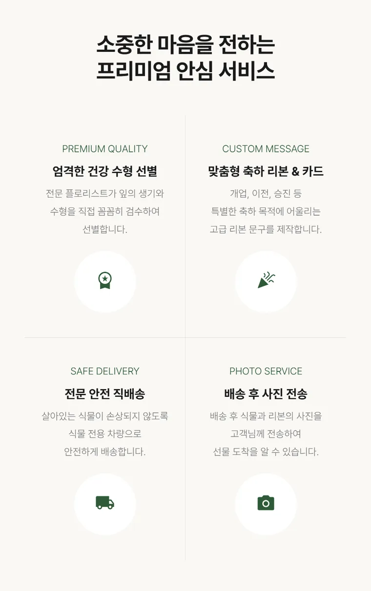 홍콩야자 — 상품 상세