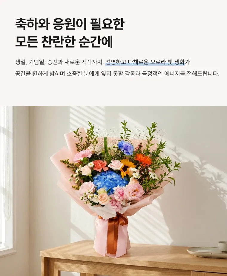 비비드오로라 — 상품 상세