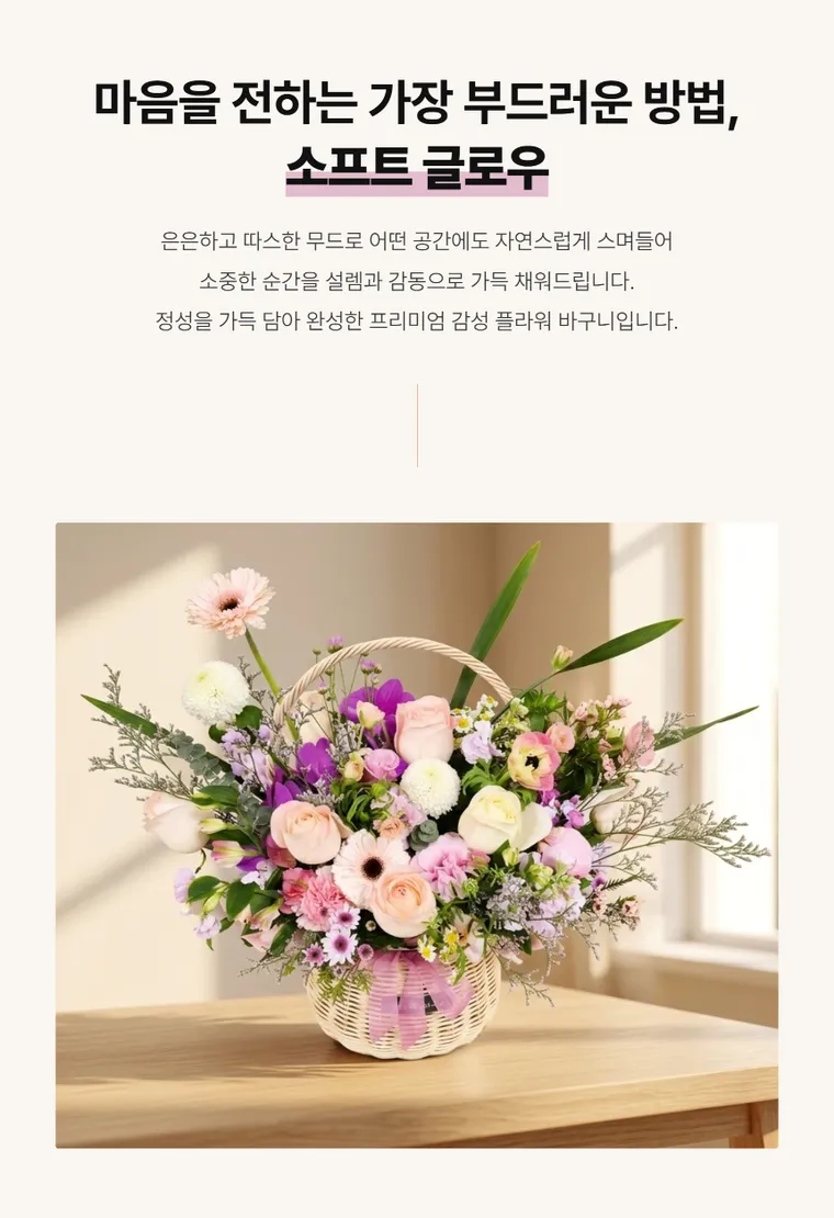 소프트글로우 — 상품 상세