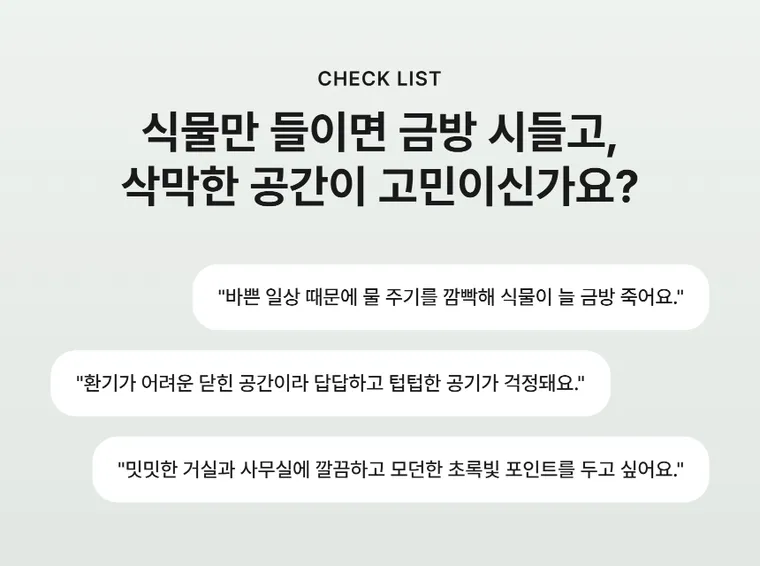 산세베리아 A — 상품 상세