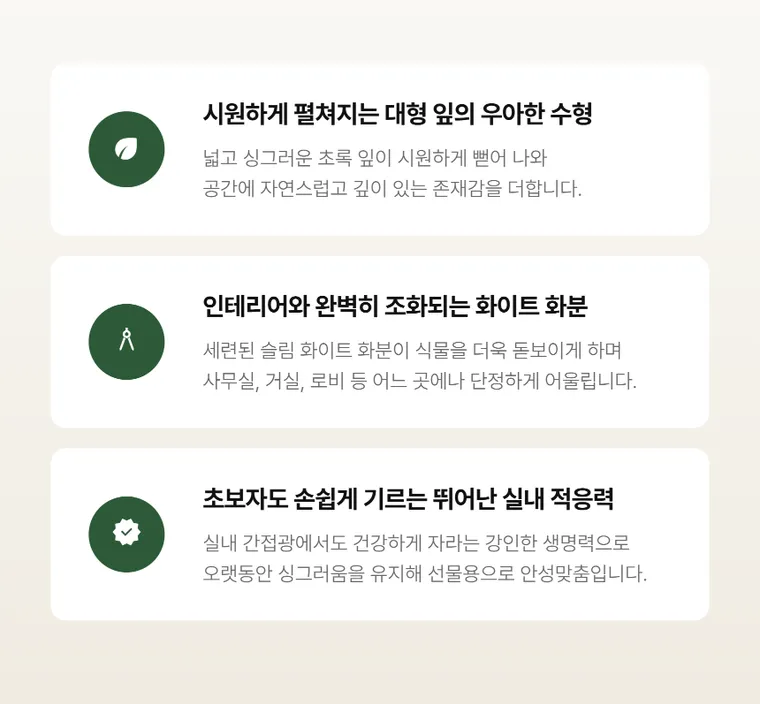 대엽홍콩 — 상품 상세