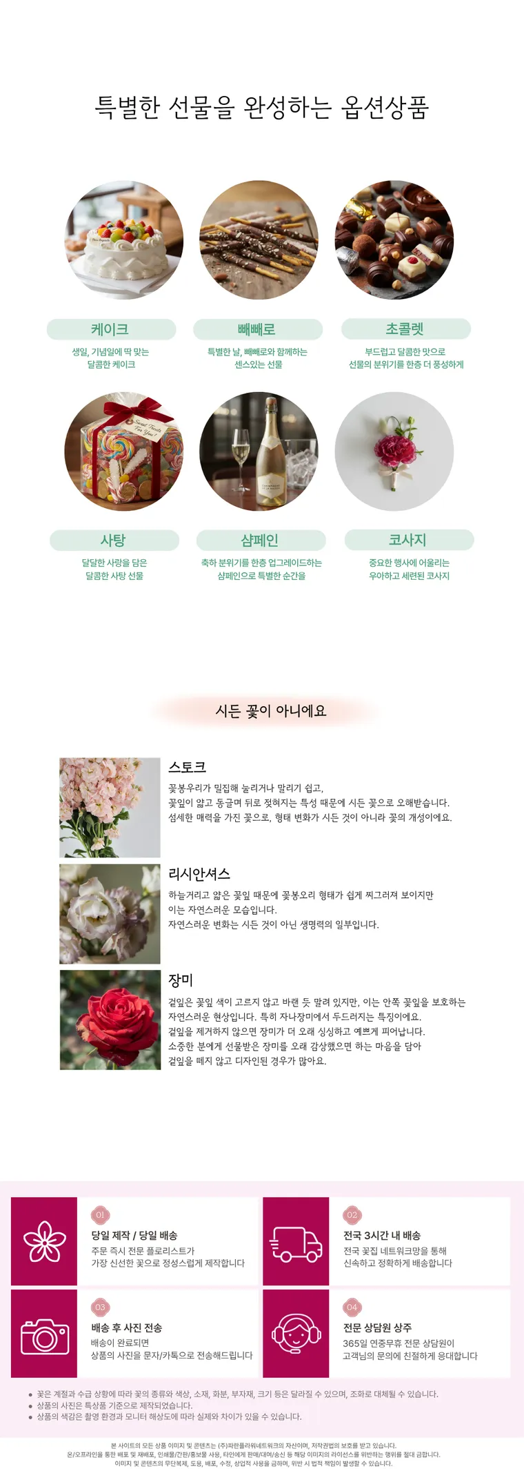 카네이션 C — 상품 상세