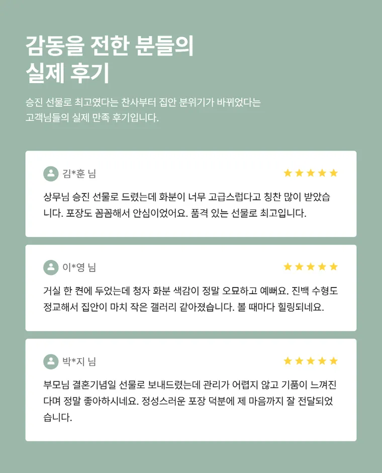 진백 B — 상품 상세