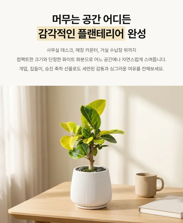 Cây đa Bengal T — Hình chi tiết