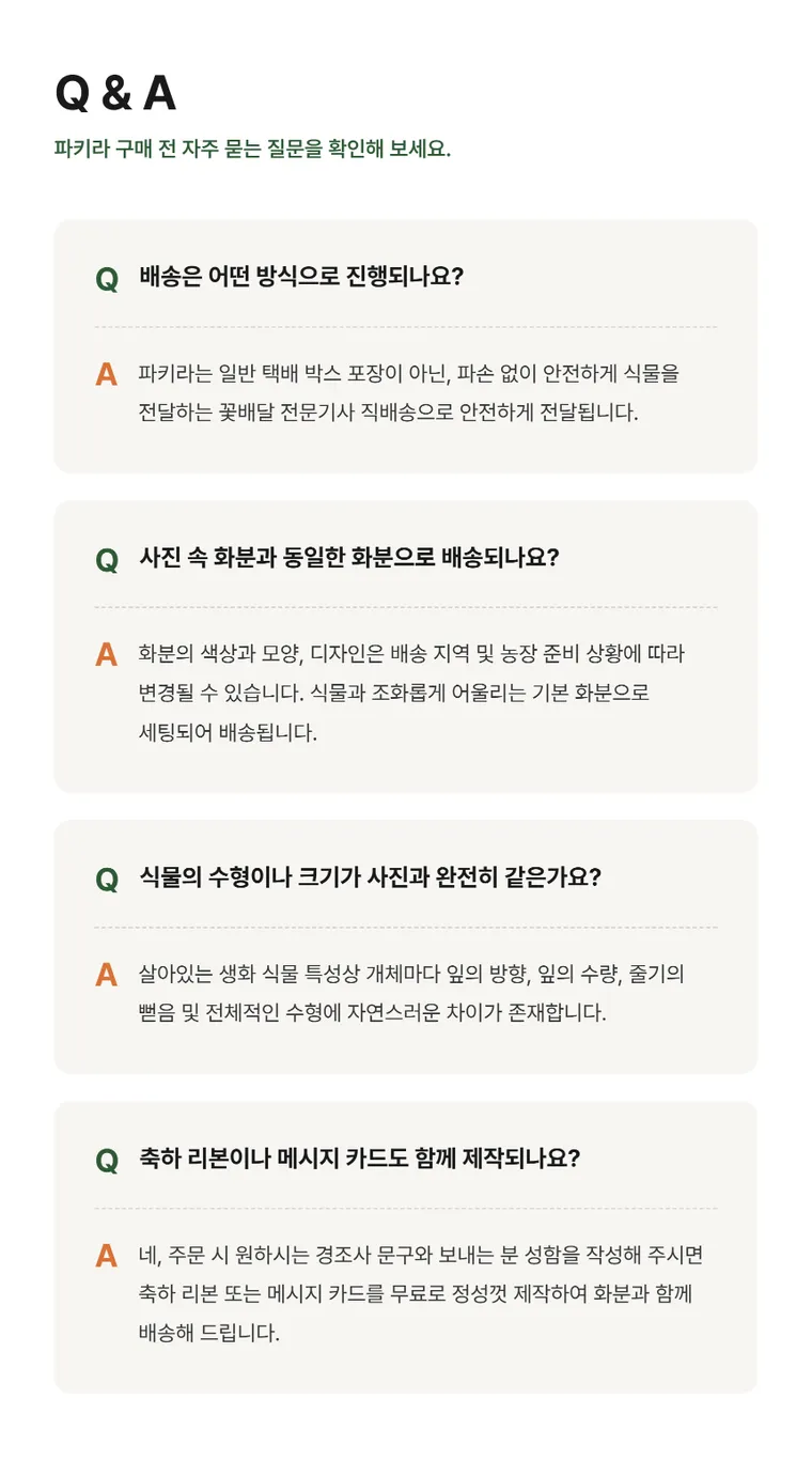 파키라 A — 상품 상세
