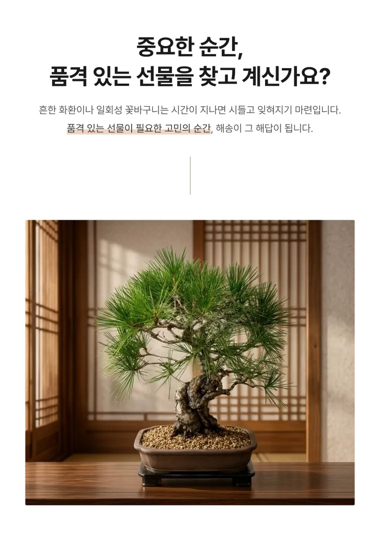 黒松盆栽 B — 詳細画像